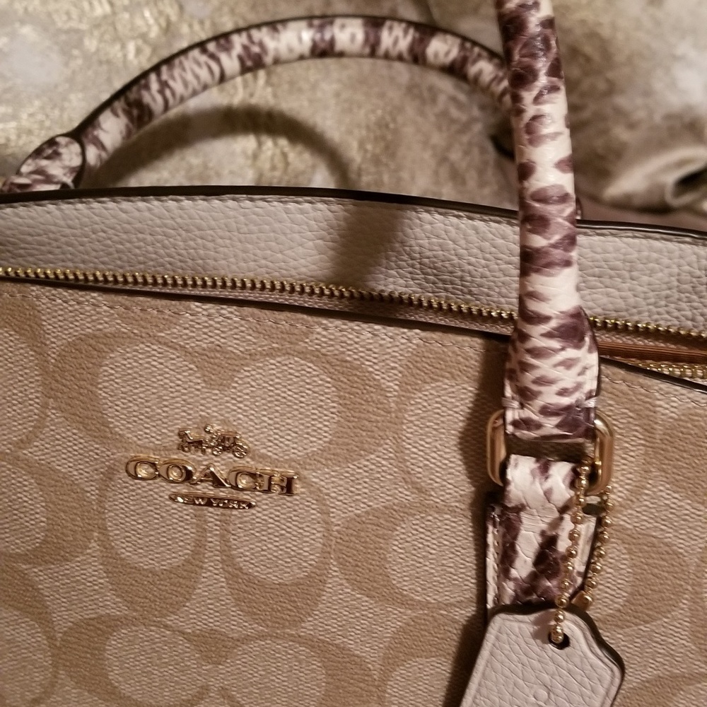 New Coach - Picture 3 of 7